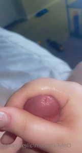 15265329