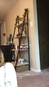 purrrtrova Onlyfans leaked video 1718331 on Hotleaks.tv