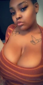 15336376