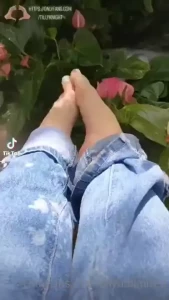 18073337
