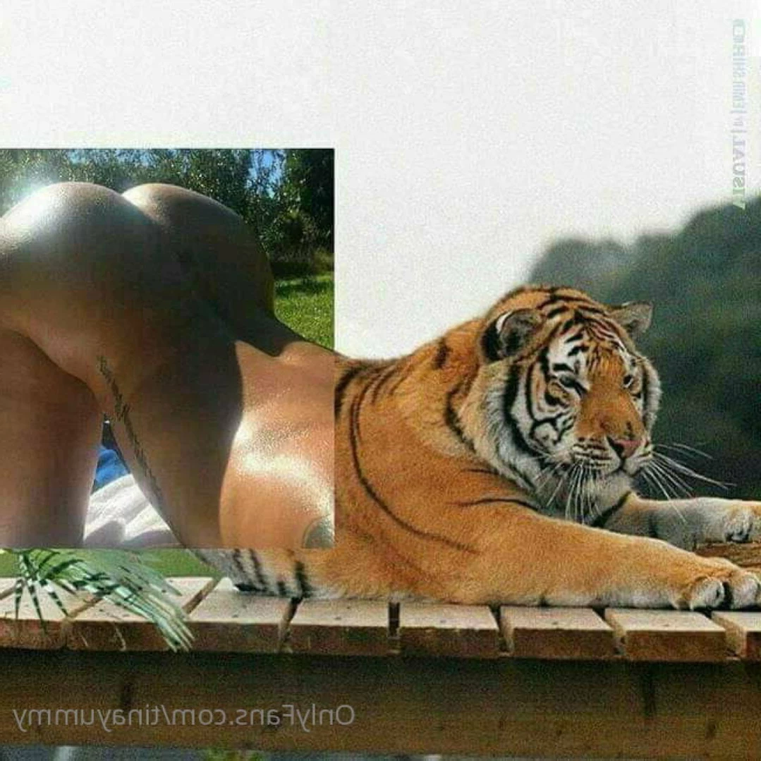Tina Yummy 🍑 [ tinayummy ] Onlyfans leaked photo 13360344 on Hotleaks.tv