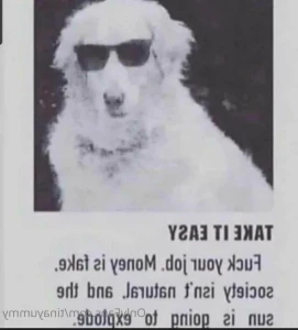 15572770