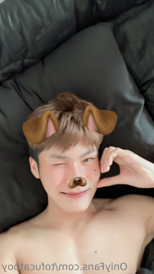 catboy [ tofucatboy ] Onlyfans leaked photo 11013686 on Hotleaks.tv