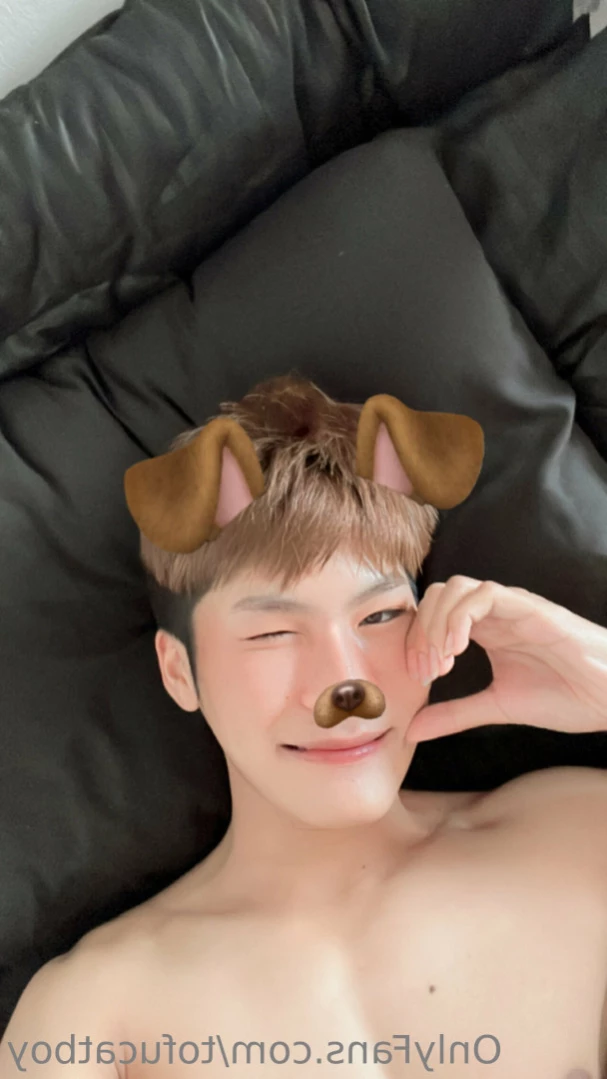 catboy [ tofucatboy ] Onlyfans leaked photo 13558068 on Hotleaks.tv