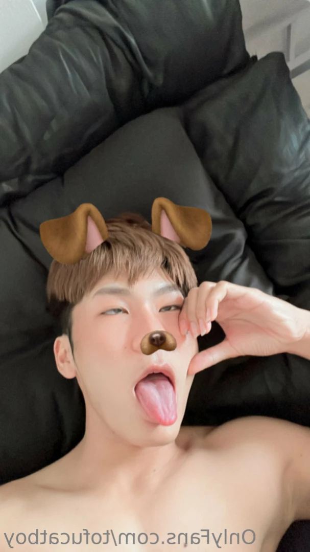 catboy [ tofucatboy ] Onlyfans leaked photo 16323650 on Hotleaks.tv