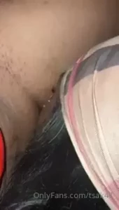 15687391