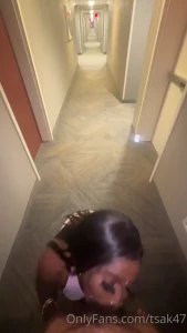 16047588