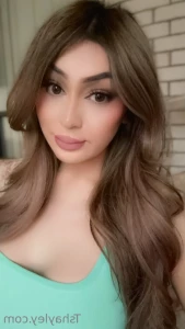 16119198