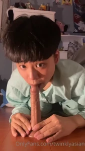 13731555