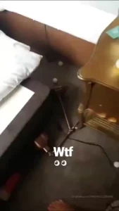 18071314