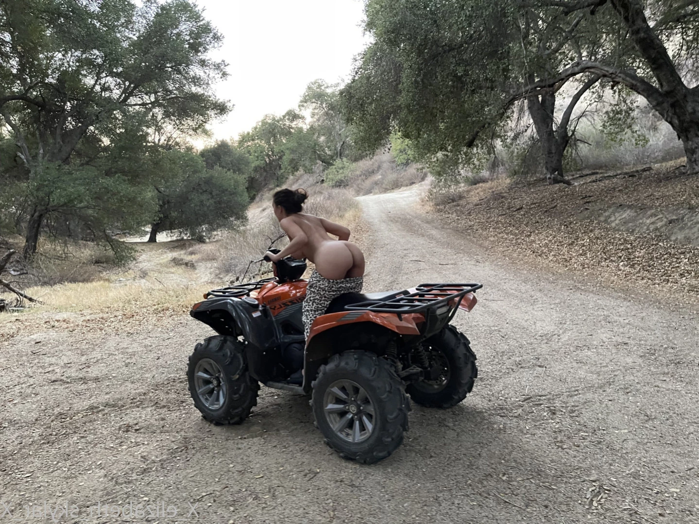 Elizabeth Skylar [ xelizabethskylarx ] Onlyfans leaked photo 13395508 on Hotleaks.tv