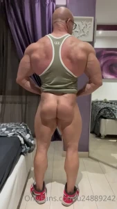 15213825