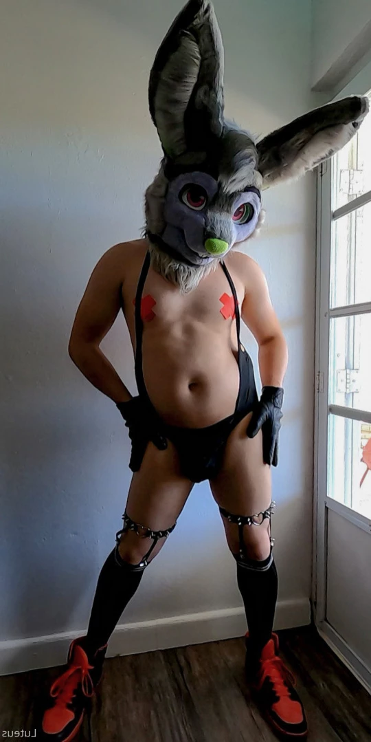 Luteus_free [ u61976890 ] Onlyfans leaked photo 11432378 on Hotleaks.tv