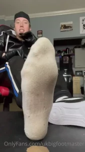 13895520