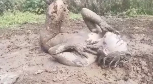 UKCuteGirl - Cute, Kinky and FILTHY! [ ukcutegirl ] Onlyfans leaked video 18071041 on Hotleaks.tv