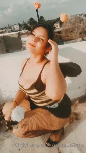 15202137