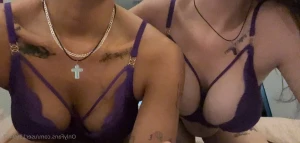 13381872