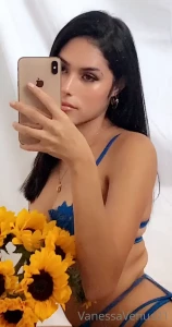16216058