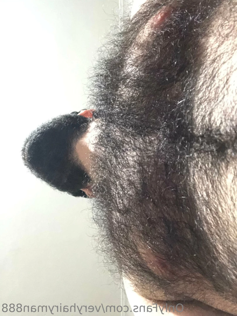 VeryHairyMan88 [ veryhairyman888 ] Onlyfans leaked photo 11428536 on Hotleaks.tv