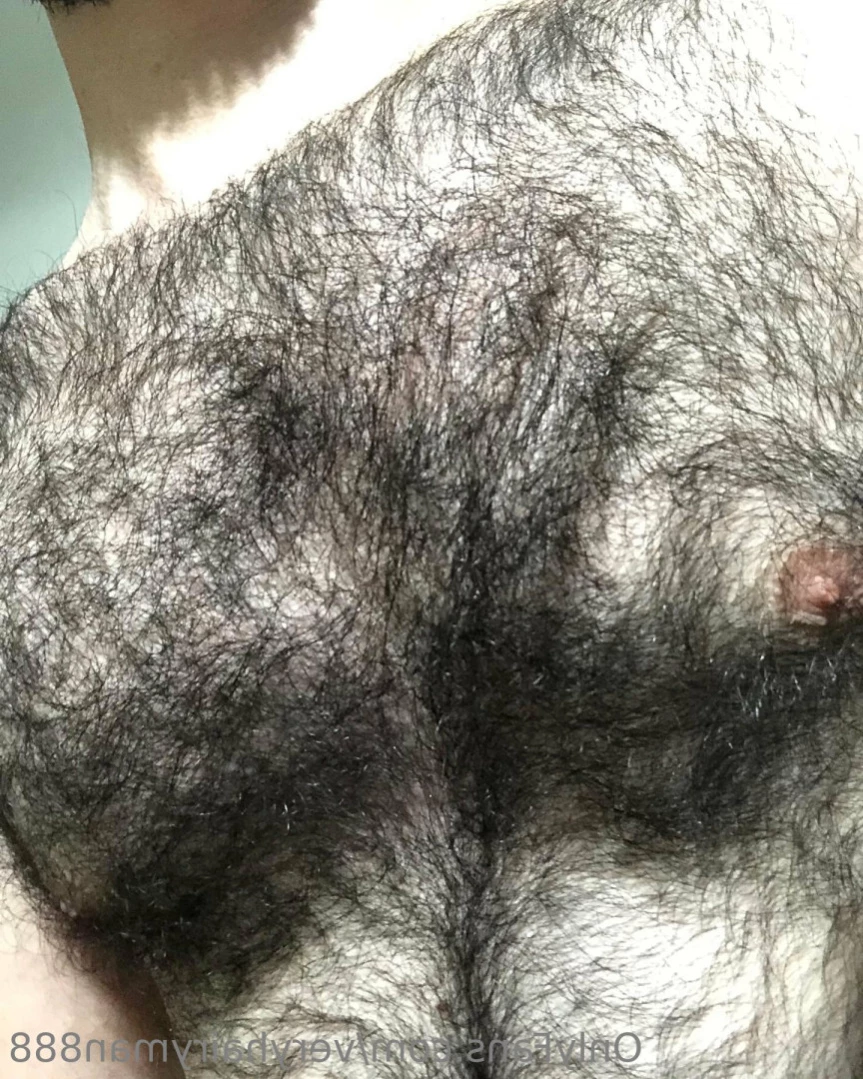 VeryHairyMan88 [ veryhairyman888 ] Onlyfans leaked photo 13528855 on Hotleaks.tv