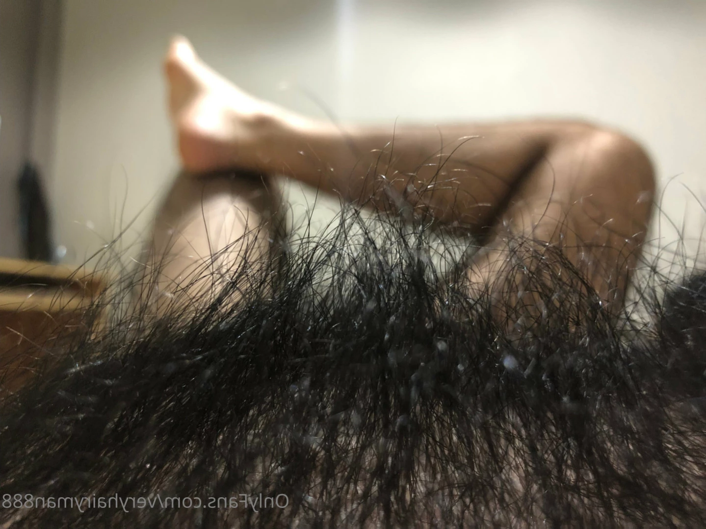 VeryHairyMan88 [ veryhairyman888 ] Onlyfans leaked photo 13528871 on Hotleaks.tv