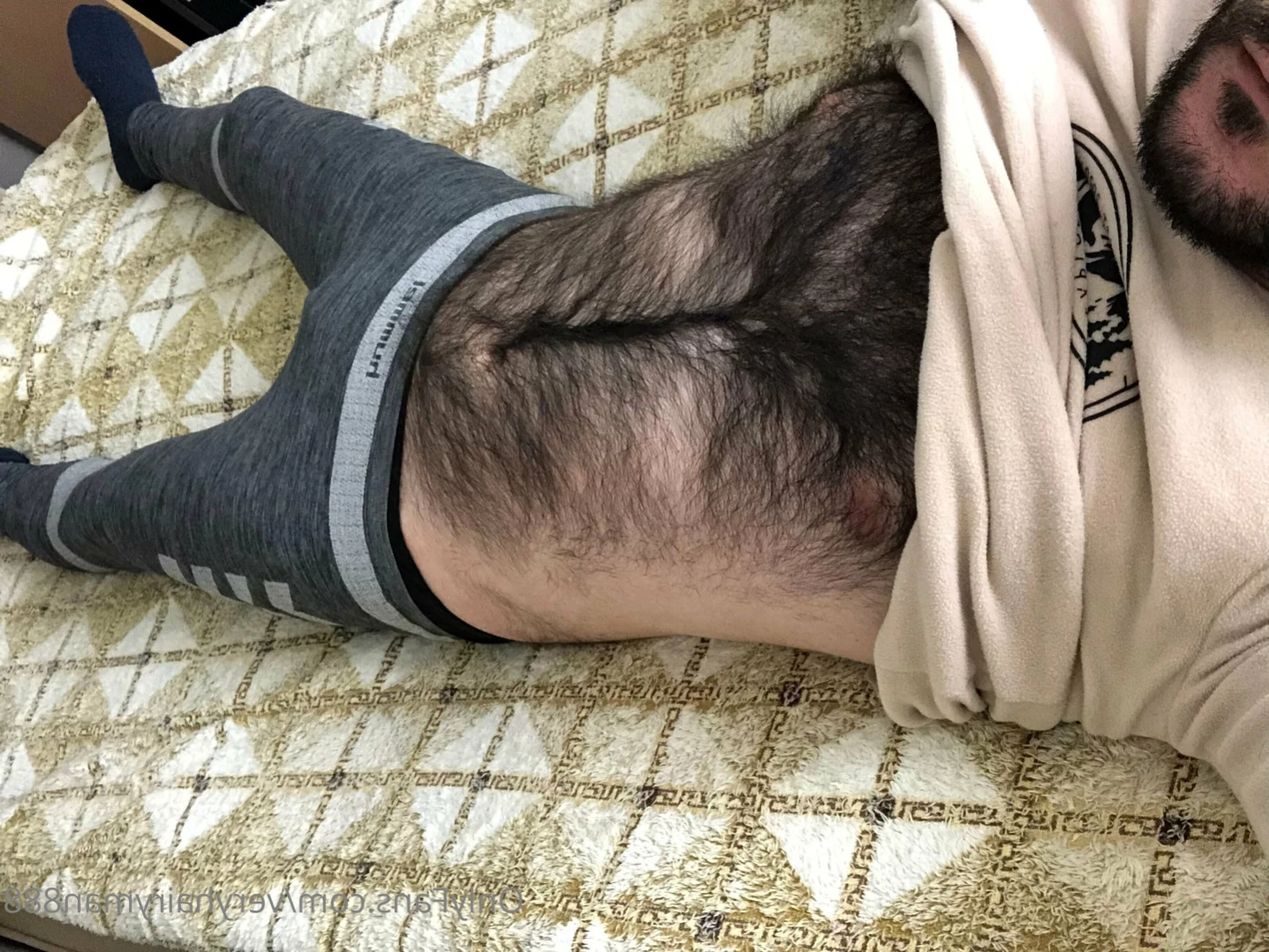VeryHairyMan88 [ veryhairyman888 ] Onlyfans leaked photo 13528952 on Hotleaks.tv
