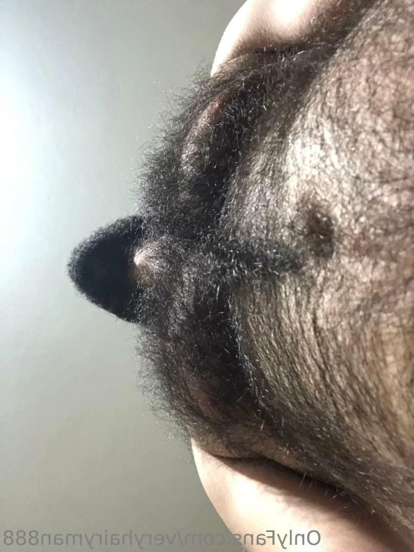 VeryHairyMan88 [ veryhairyman888 ] Onlyfans leaked photo 13529031 on Hotleaks.tv