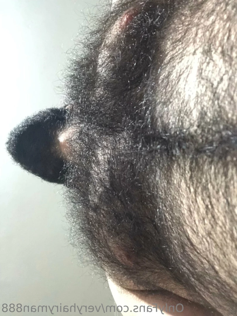 VeryHairyMan88 [ veryhairyman888 ] Onlyfans leaked photo 15028210 on Hotleaks.tv