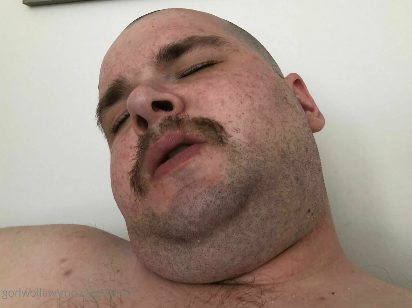 wallowhog Onlyfans leaked photo 13431208 on Hotleaks.tv