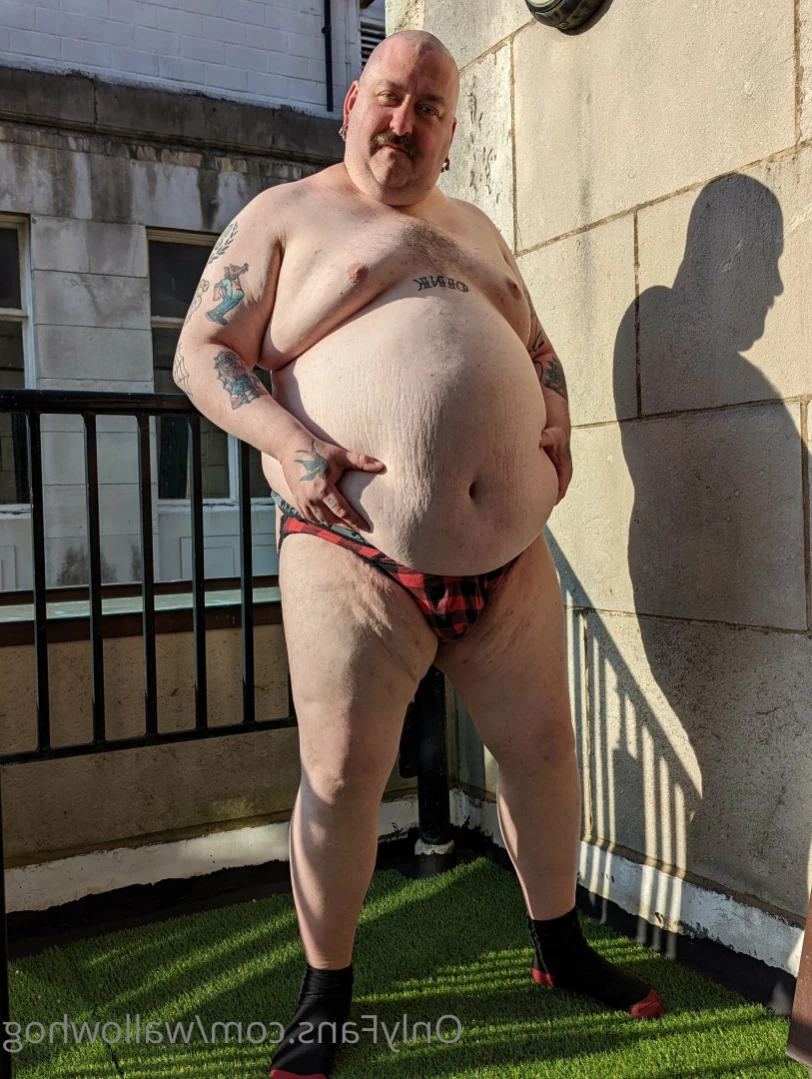 wallowhog Onlyfans leaked photo 14203041 on Hotleaks.tv