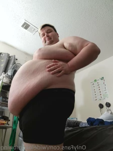 15774688