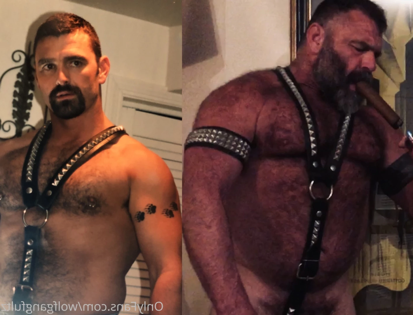 Wolfgang Fultz [ wolfgangfultz ] Onlyfans leaked photo 13680798 on Hotleaks.tv