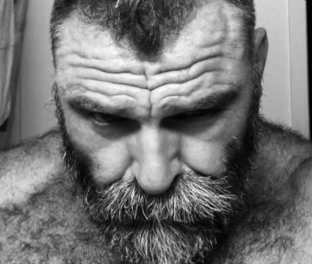 Wolfgang Fultz [ wolfgangfultz ] Onlyfans leaked photo 15559922 on Hotleaks.tv