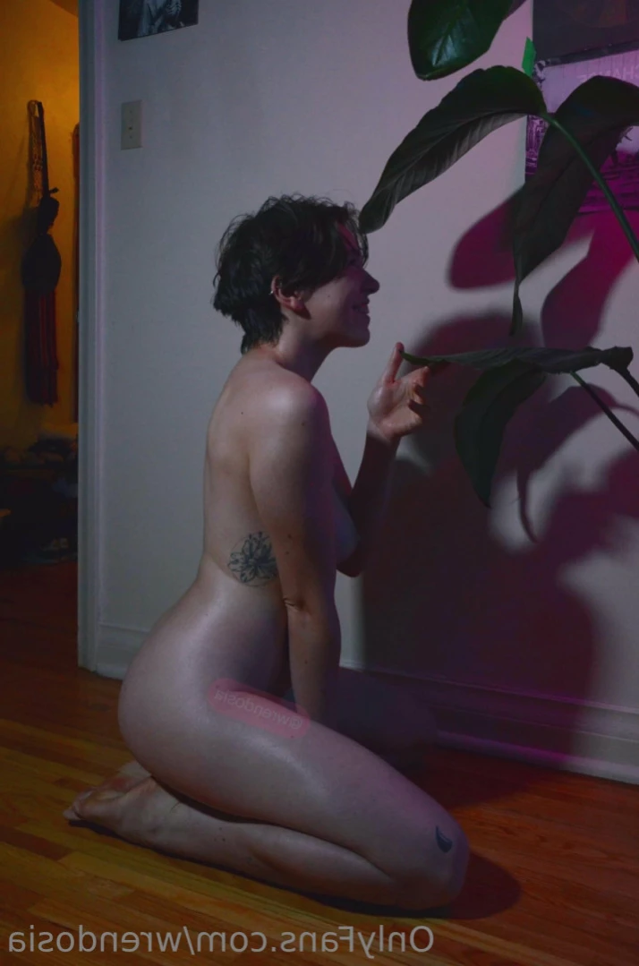 Wren [ wrendosia ] Onlyfans leaked photo 13541983 on Hotleaks.tv