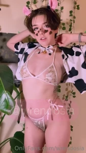 15679491