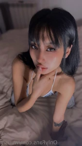 13541586