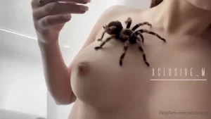 18068884