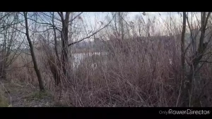 Jared Shaw [ xjaredshaw ] Onlyfans leaked video 15206909 on Hotleaks.tv