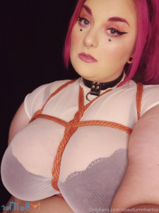 17270164