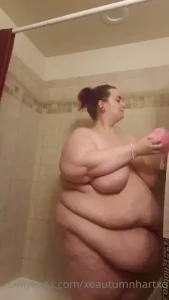 18068581