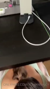 18068550