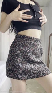16065587