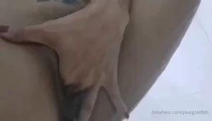 yourgoldfish Onlyfans leaked video 13146253 on Hotleaks.tv