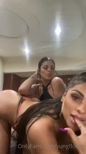 18067894
