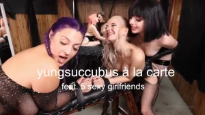 15953197