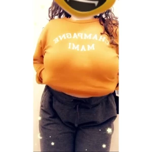 16120454