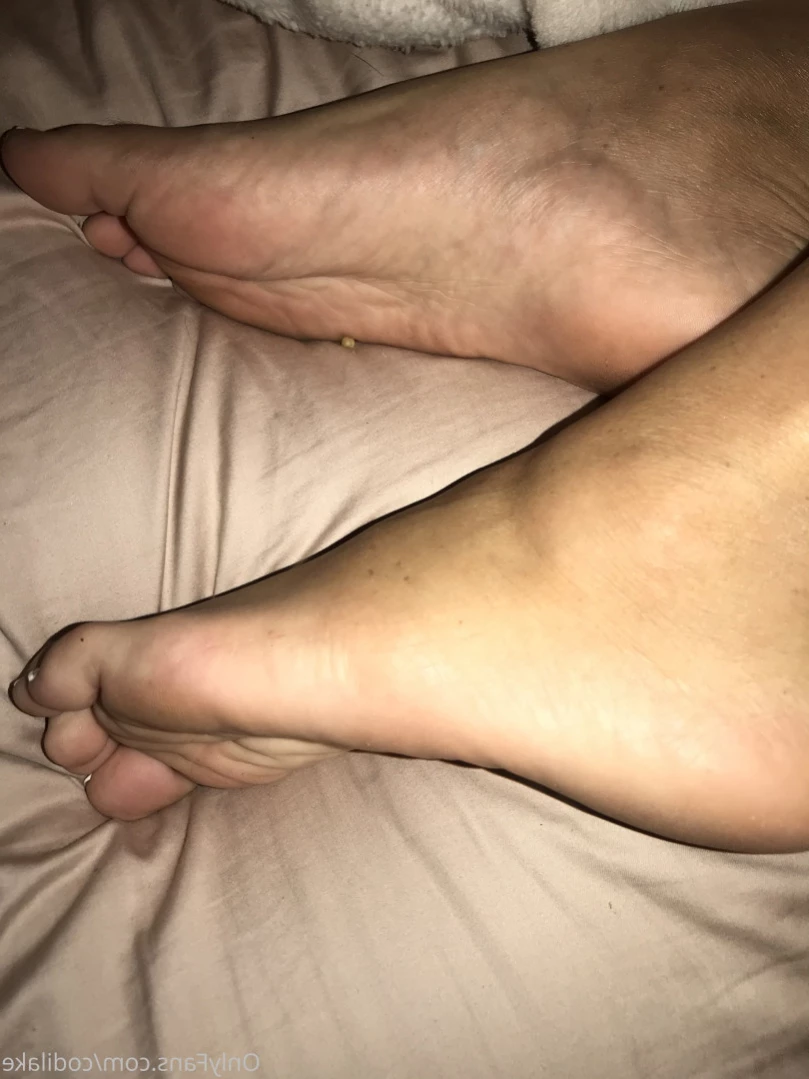 codilake Onlyfans leaked photo 13837787 on Hotleaks.tv