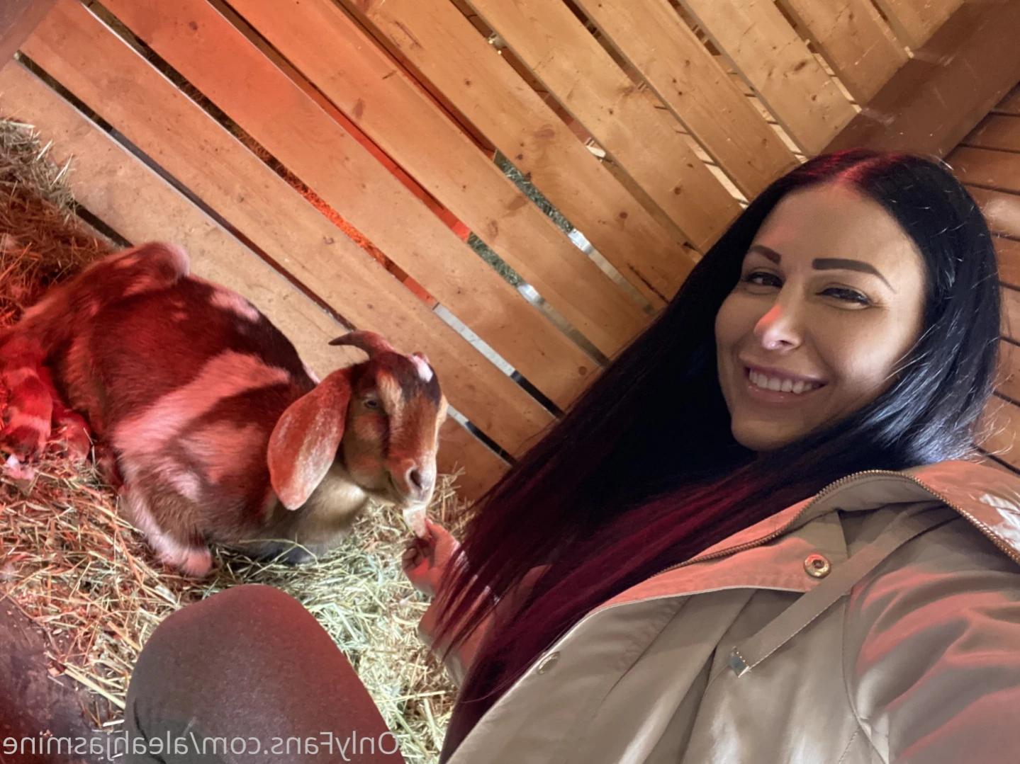 Aleah Jasmine [ aleahjasmine ] Onlyfans leaked photo 14002269 on Hotleaks.tv