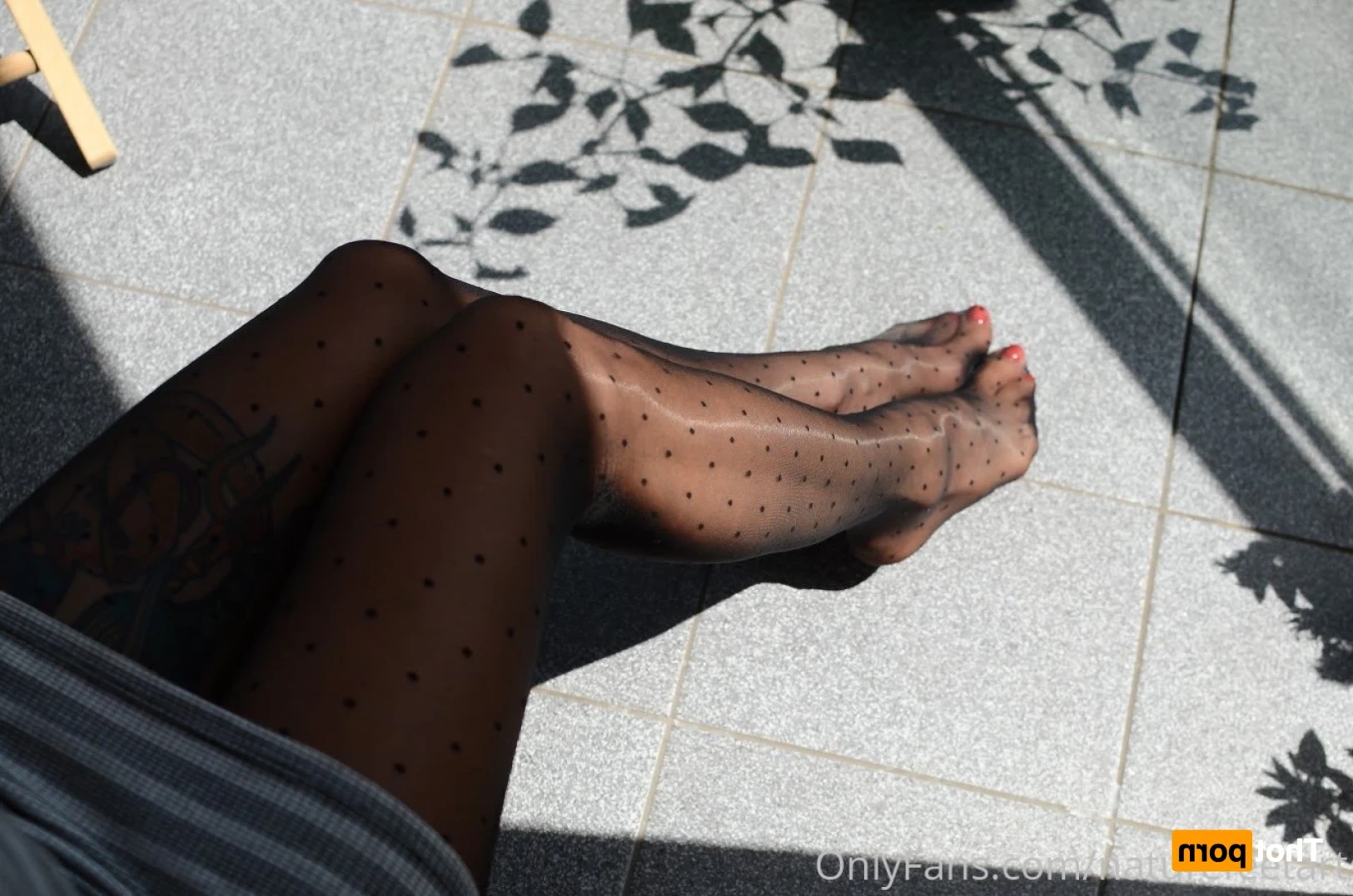 Maya [ pawsofmaya ] Onlyfans leaked photo 13651262 on Hotleaks.tv