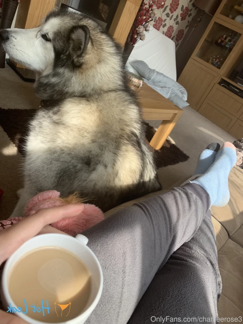 🚔 REAL Ex British Cop 🚔 [ charlieerose3 ] Onlyfans leaked photo 13820243 on Hotleaks.tv